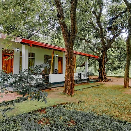 Bed and Breakfast Banana Rest Sigiriya Exterior foto