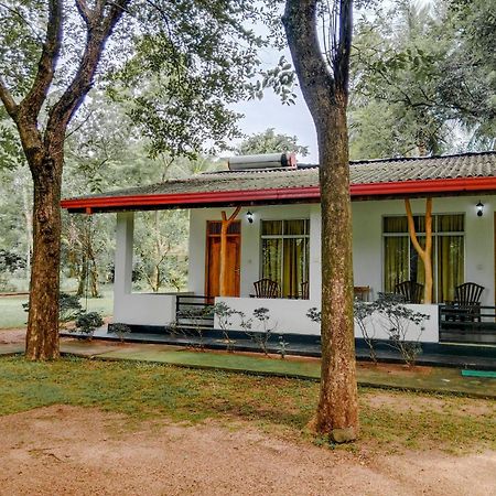 Bed and Breakfast Banana Rest Sigiriya Exterior foto