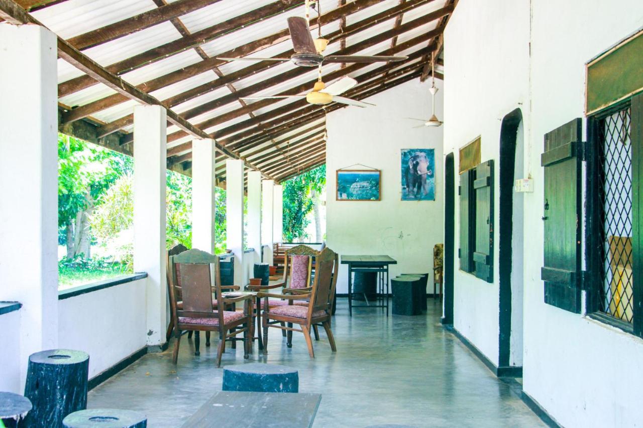 Bed and Breakfast Banana Rest Sigiriya Exterior foto
