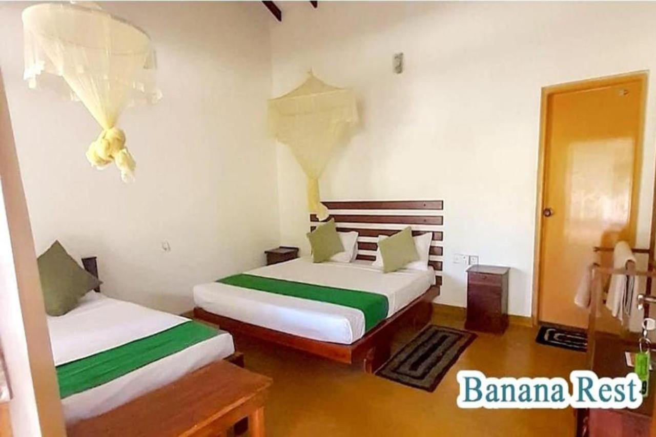 Bed and Breakfast Banana Rest Sigiriya Exterior foto