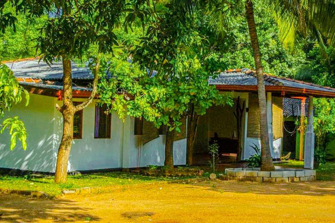 Bed and Breakfast Banana Rest Sigiriya Exterior foto