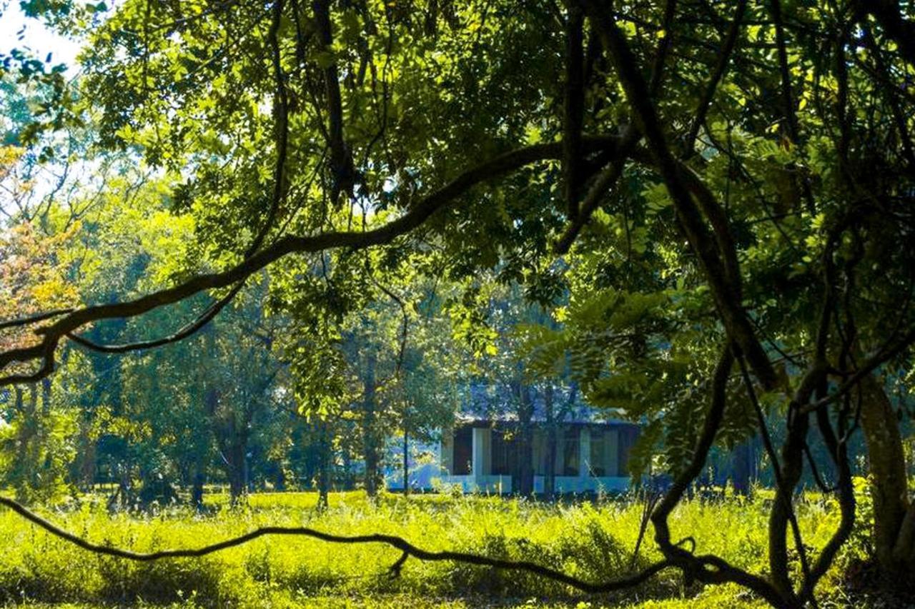 Bed and Breakfast Banana Rest Sigiriya Exterior foto