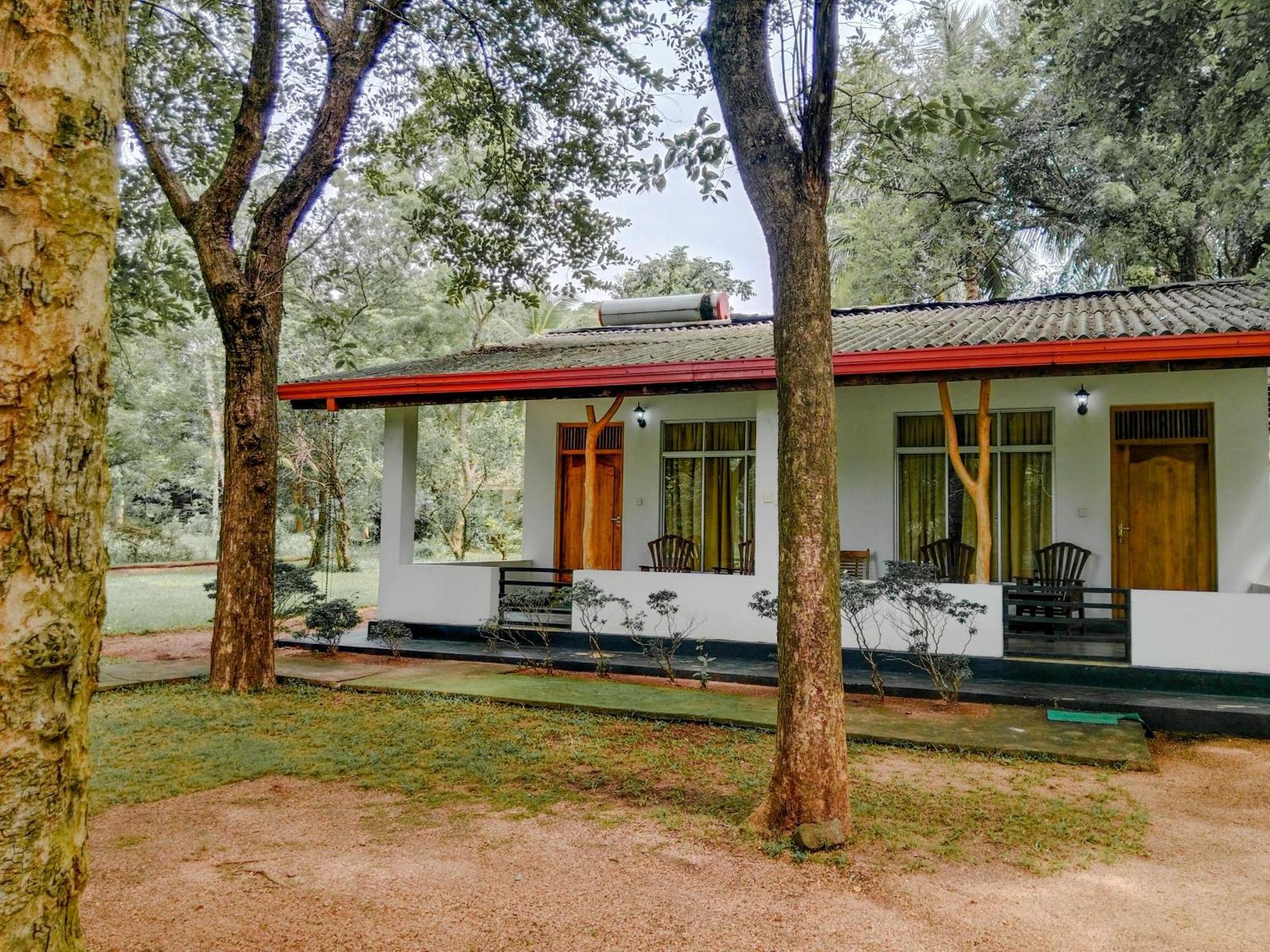 Bed and Breakfast Banana Rest Sigiriya Exterior foto