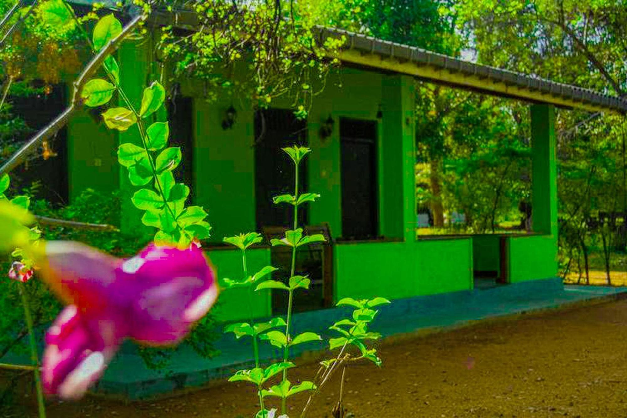 Bed and Breakfast Banana Rest Sigiriya Exterior foto