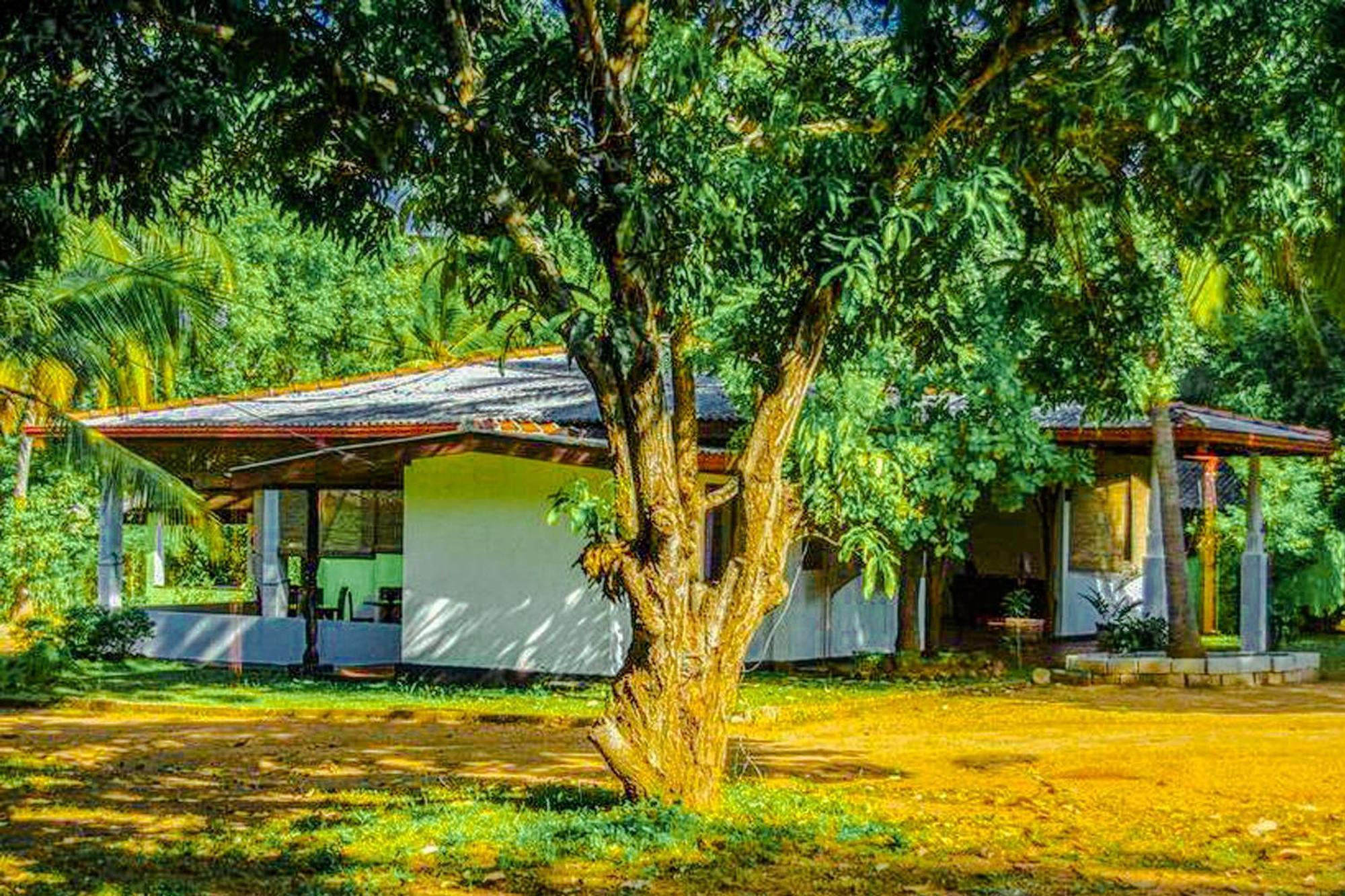 Bed and Breakfast Banana Rest Sigiriya Exterior foto