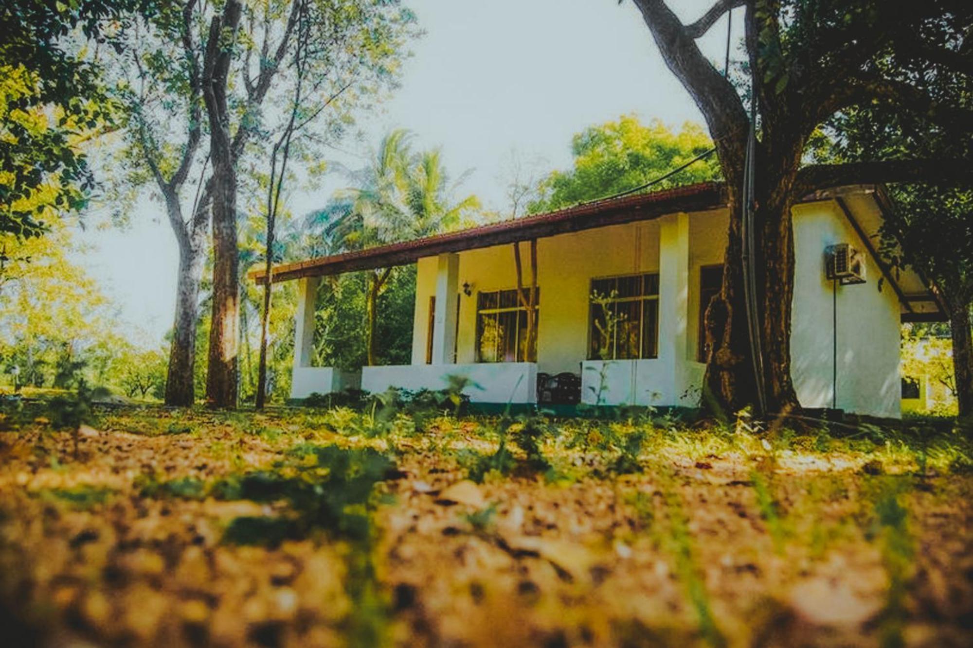 Bed and Breakfast Banana Rest Sigiriya Exterior foto
