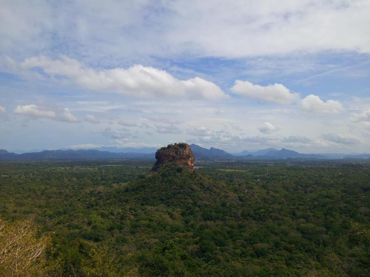 Bed and Breakfast Banana Rest Sigiriya Exterior foto