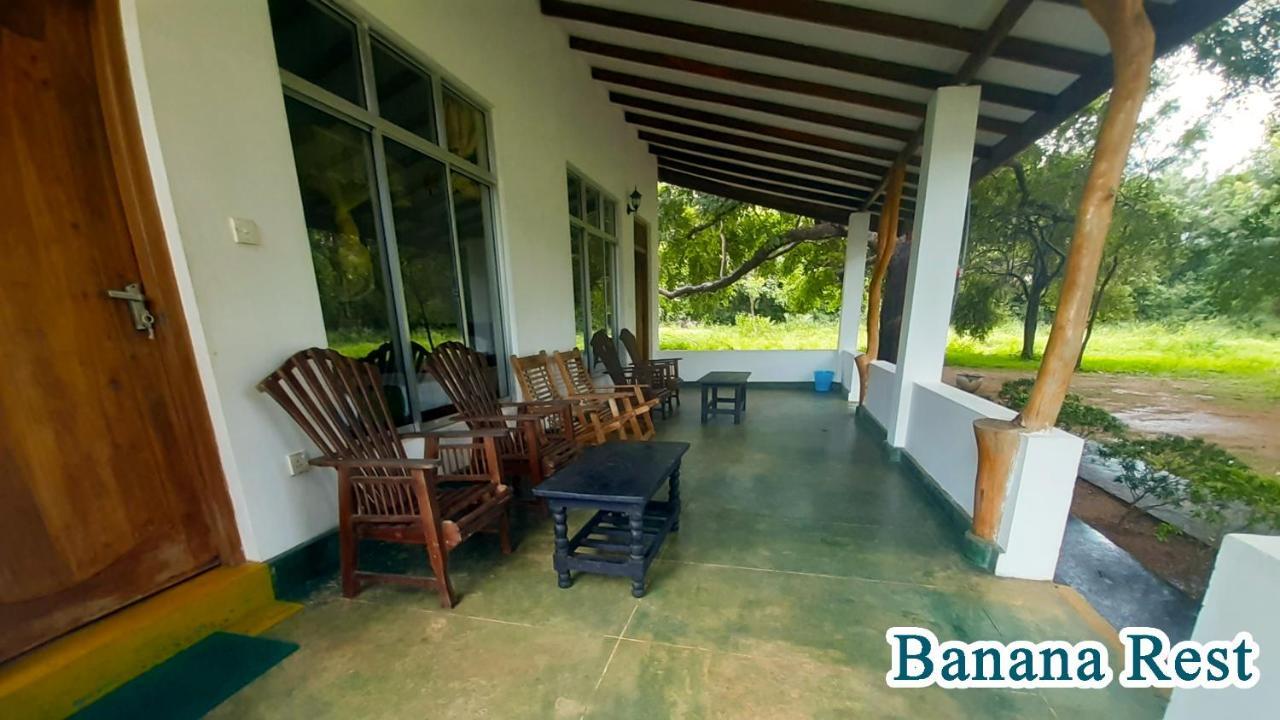Bed and Breakfast Banana Rest Sigiriya Exterior foto